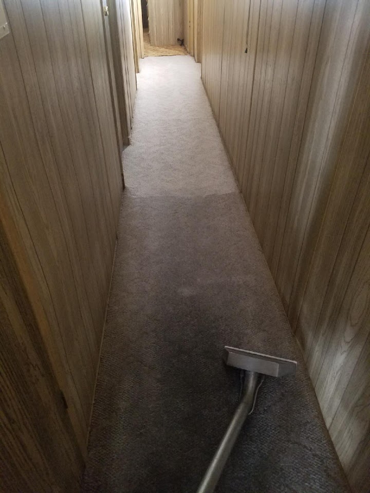 Regal Carpet Cleaning project